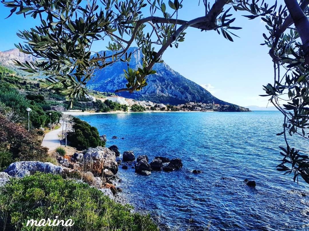 Apartmani Marina Gradac Gradac  Exteriör bild